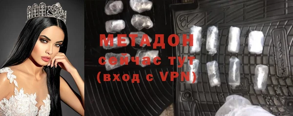 гашик Алексин