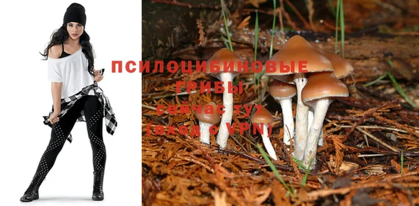 а пвп мука Арсеньев