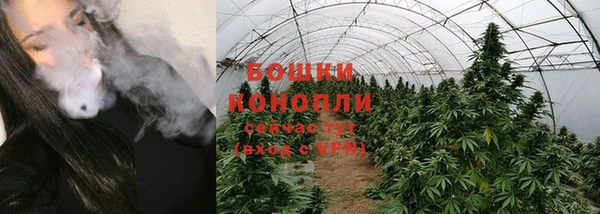 ГАЛЛЮЦИНОГЕННЫЕ ГРИБЫ Армянск