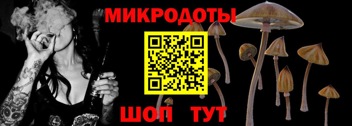 Псилоцибиновые грибы Cubensis  Галлюциногенные грибы ЛСД  Петровск  Вход с VPN 
